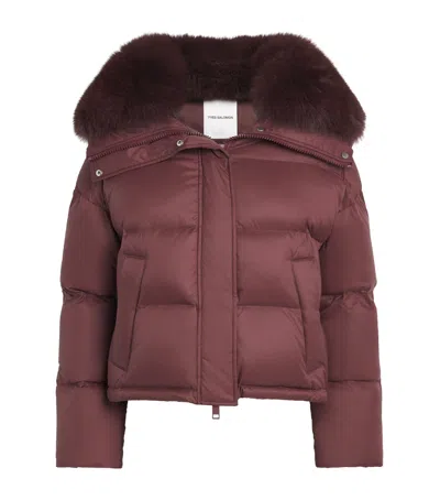 Yves Salomon Down Fox Fur-trim Short Puffer Jacket In Brown
