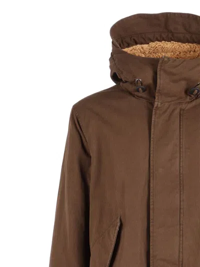 Aspesi Hooded Parka In Brown