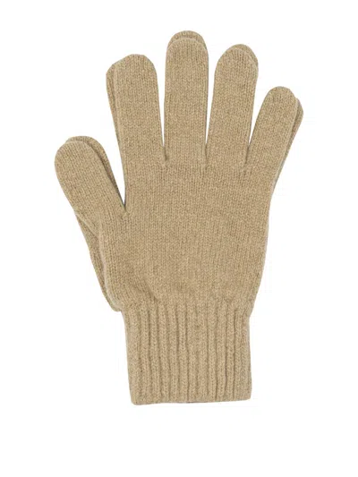 Vietti Merchandise Cashmere Gloves In Brown