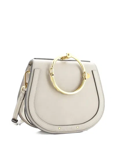 Pre-owned Chloé Nile Leather Medium Crossbody Bag In Neutral