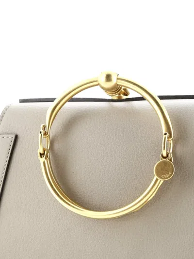 Pre-owned Chloé Nile Leather Medium Crossbody Bag In Neutral