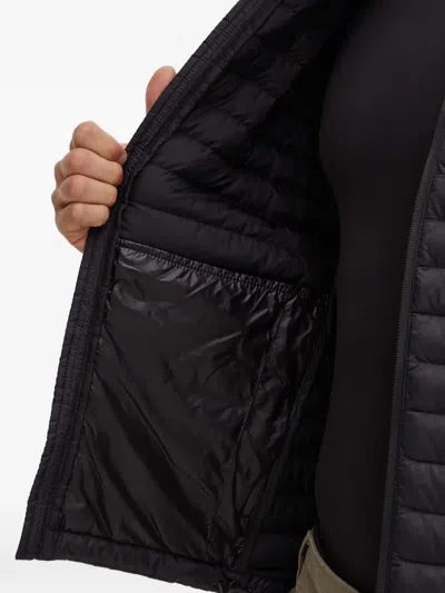 Helly Hansen Logo-detail Padded Jacket In Black