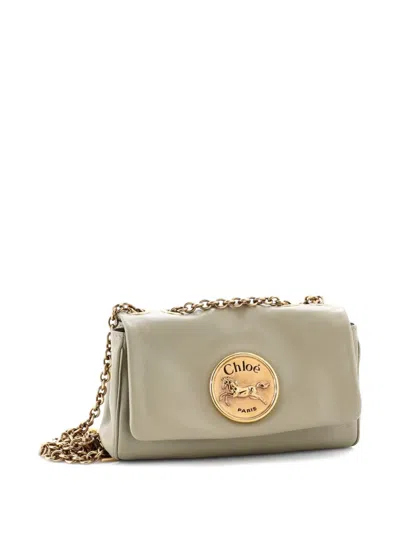 Pre-owned Chloé Heritage Chain Leather Small Shoulder Bag In Neutral