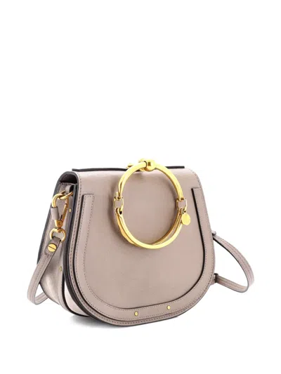 Pre-owned Chloé Nile Leather Medium Crossbody Bag In Gray
