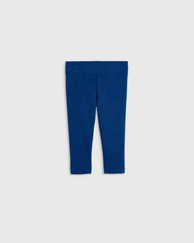 Quince Fleece Lined Legging In Blue
