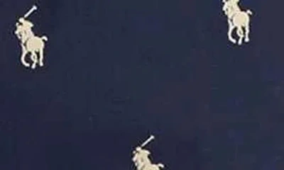 Polo Ralph Lauren Cotton Lounge Pants In Multi