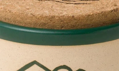 Paddywax Cypress Fir Scented Candle