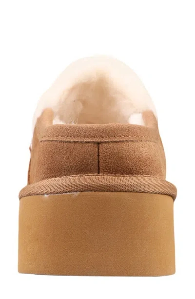 Mykos Suede Genuine Shearling Lined Water Repellent Clog In Brown