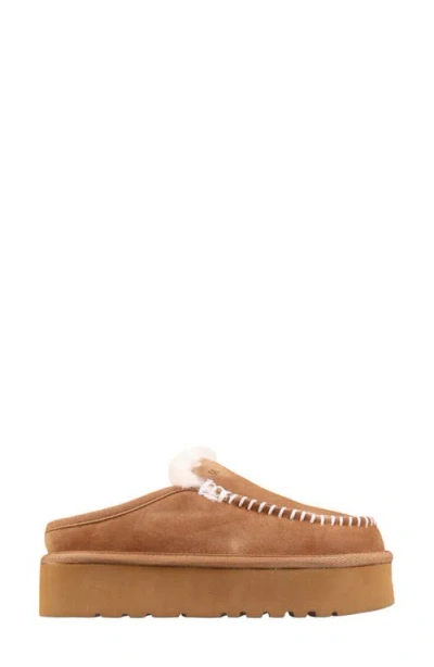 Mykos Suede Genuine Shearling Lined Water Repellent Clog In Brown