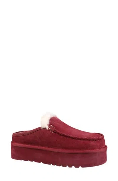 Mykos Suede Genuine Shearling Lined Water Repellent Clog In Burgundy