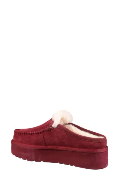 Mykos Suede Genuine Shearling Lined Water Repellent Clog In Burgundy