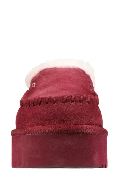 Mykos Suede Genuine Shearling Lined Water Repellent Clog In Burgundy