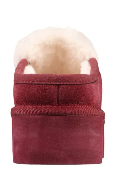 Mykos Suede Genuine Shearling Lined Water Repellent Clog In Burgundy