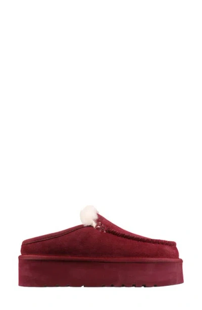 Mykos Suede Genuine Shearling Lined Water Repellent Clog In Burgundy