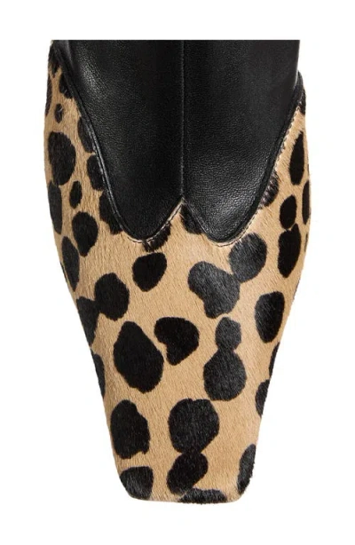 Khaite Nevada Leather And Leopard-print Calf Hair Ankle Boots In Black