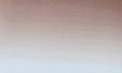 Solid & Striped The Dora Dress In Brown