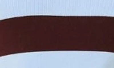 Solid & Striped The Debra Rugby Stripe Top In Brown