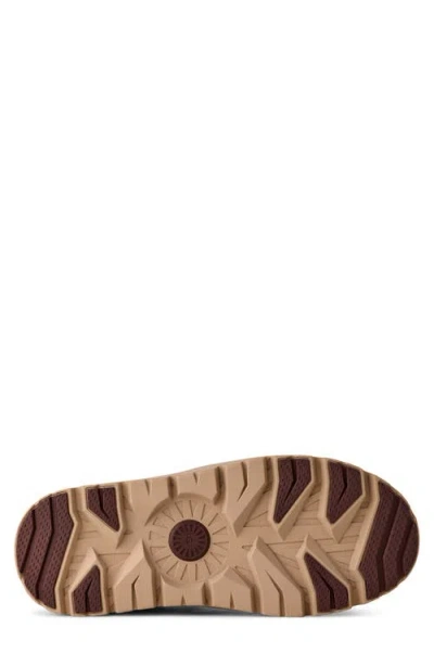 Ugg (r) Neumel High Top Waterproof Hybrid Boot In Burgundy