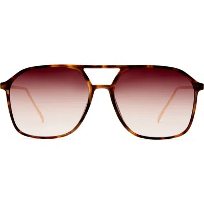 Aire Cusp 55mm Aviator Sunglasses In Brown