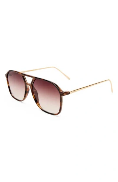 Aire Cusp 55mm Aviator Sunglasses In Brown