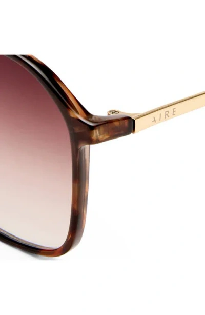 Aire Cusp 55mm Aviator Sunglasses In Brown
