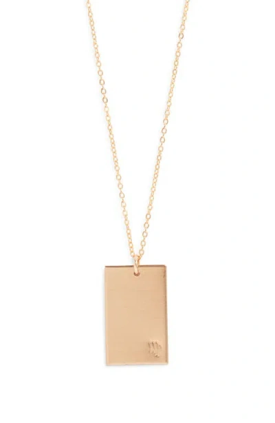 Set & Stones Goldie Zodiac Pendant Necklace In Gray