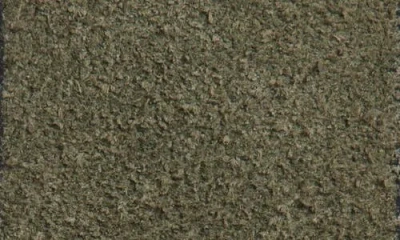 Favorite Daughter The Suede Statement Belt In Neutral