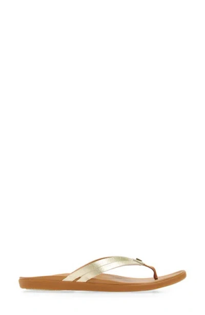 Olukai Ho Opio Hui Flip Flop In Gold