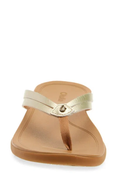Olukai Ho Opio Hui Flip Flop In Gold