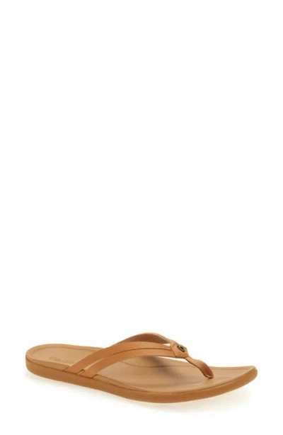 Olukai Ho Opio Hui Flip Flop In Brown
