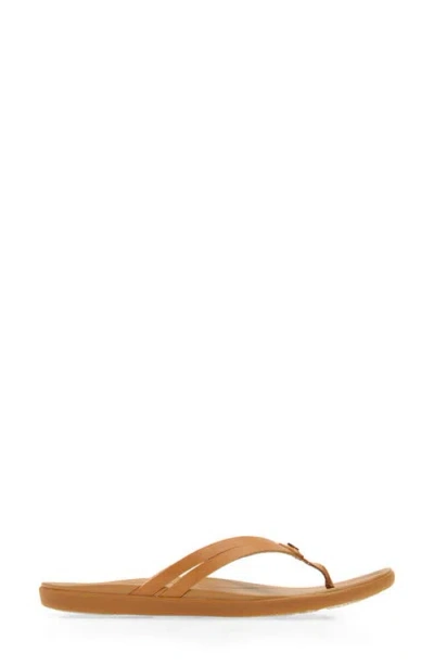 Olukai Ho Opio Hui Flip Flop In Brown