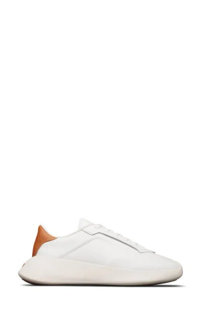 Wolf & Shepherd Toro Classic Sneaker In White