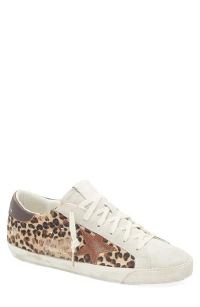 Golden Goose Super-star Leopard Print Genuine Calf Hair Sneaker In Animal Print