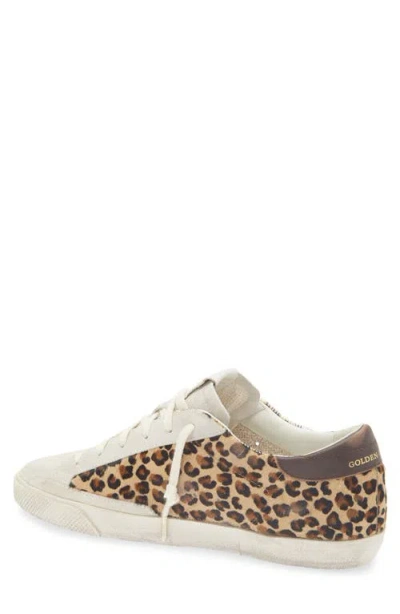 Golden Goose Super-star Leopard Print Genuine Calf Hair Sneaker In Animal Print