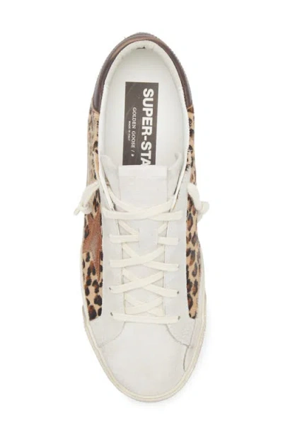 Golden Goose Super-star Leopard Print Genuine Calf Hair Sneaker In Animal Print