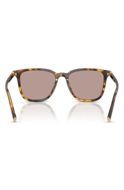 Miu Miu Tortoiseshell-pattern Square-frame Sunglasses In Black