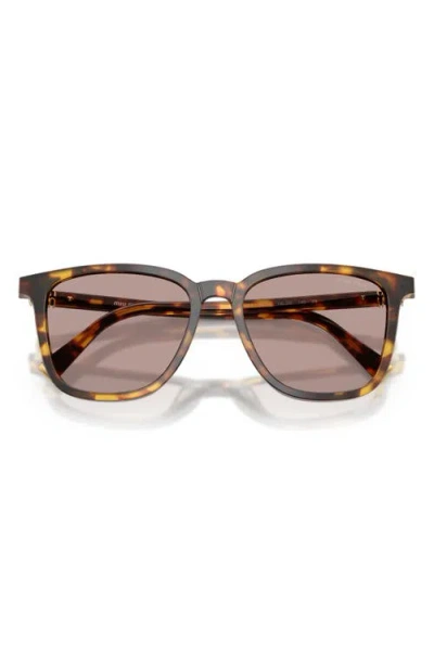 Miu Miu Tortoiseshell-pattern Square-frame Sunglasses In Black