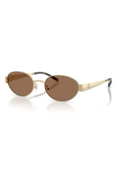 Tory Burch 54mm Oval Sunglasses In Brown