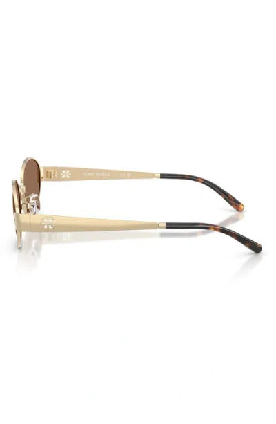 Tory Burch 54mm Oval Sunglasses In Brown