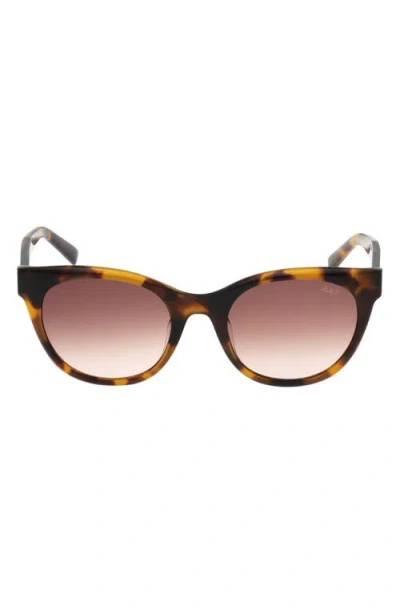 Abercrombie & Fitch 52mm Gradient Cat Eye Sunglasses In Multi