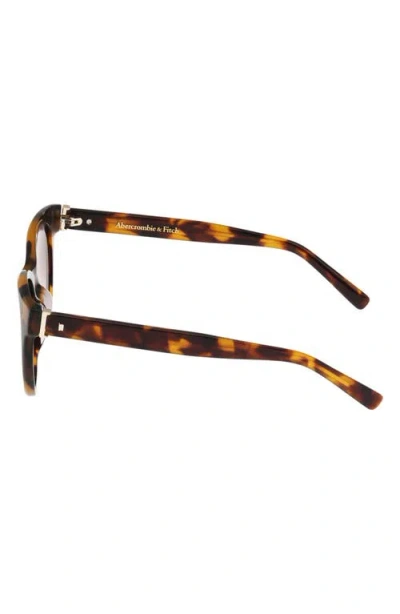 Abercrombie & Fitch 52mm Gradient Cat Eye Sunglasses In Multi