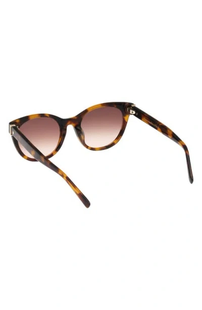 Abercrombie & Fitch 52mm Gradient Cat Eye Sunglasses In Multi