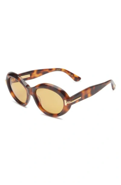 Tom Ford 55mm Oval Sunglasses In Multi
