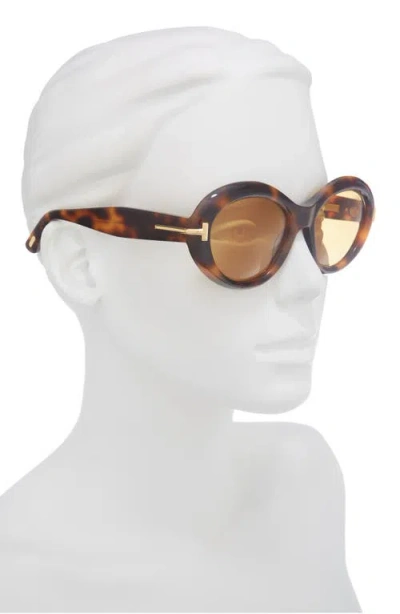 Tom Ford 55mm Oval Sunglasses In Multi