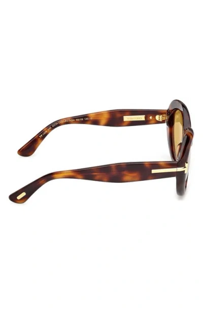 Tom Ford 55mm Oval Sunglasses In Multi