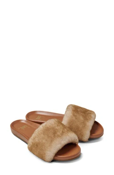 Beek Gallito Más Genuine Shearling Slide Sandal In Brown
