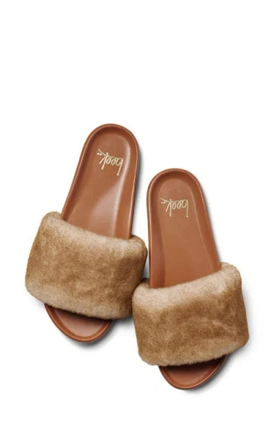 Beek Gallito Más Genuine Shearling Slide Sandal In Brown