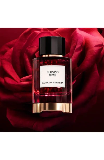 Carolina Herrera Burning Rose Eau De Parfum In Transparent