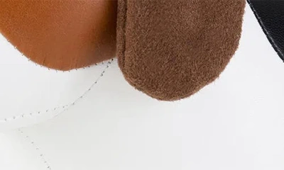 Zuny Beagle Bookend In White