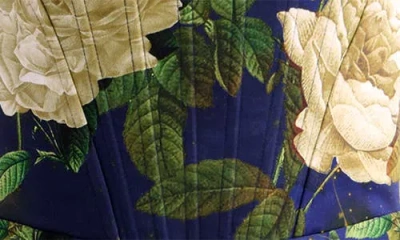 Alice And Olivia Rosalee Tie-strap Maxi Dress In Blue